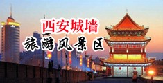 脱着咪咪内裤让男人捅中国陕西-西安城墙旅游风景区